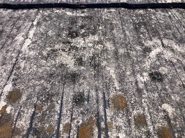 屋根材の別角度